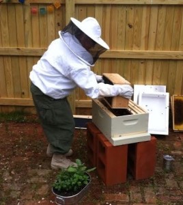 La Bee da Loca owner Felecia Chavez tending to a bee hive
