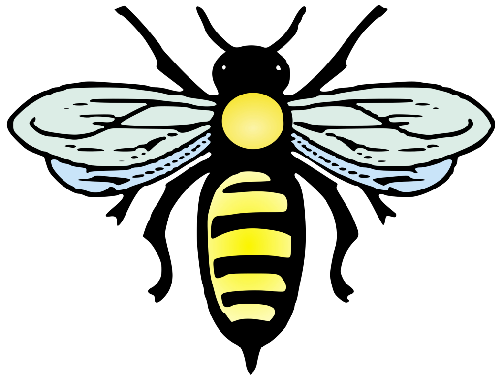 La Bee da Loca, Honey Bee Education & Goods, Culpeper, Virginia,